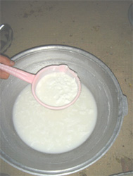 Coagulation du lait de chamelle