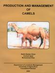 Production and management of camels