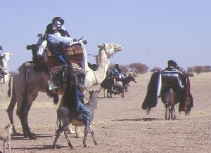Le "gani", fête religieuse au Niger
