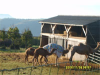 photo Marc Desquennes